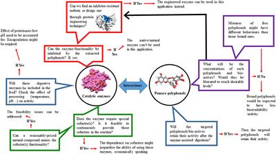 The Enzymatic Digestion of Pomaces From Some Fruits for Value-Added Feed Applications in Animal Production